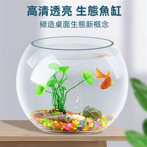 辦公桌魚缸|如何用魚缸改善辦公室氣場